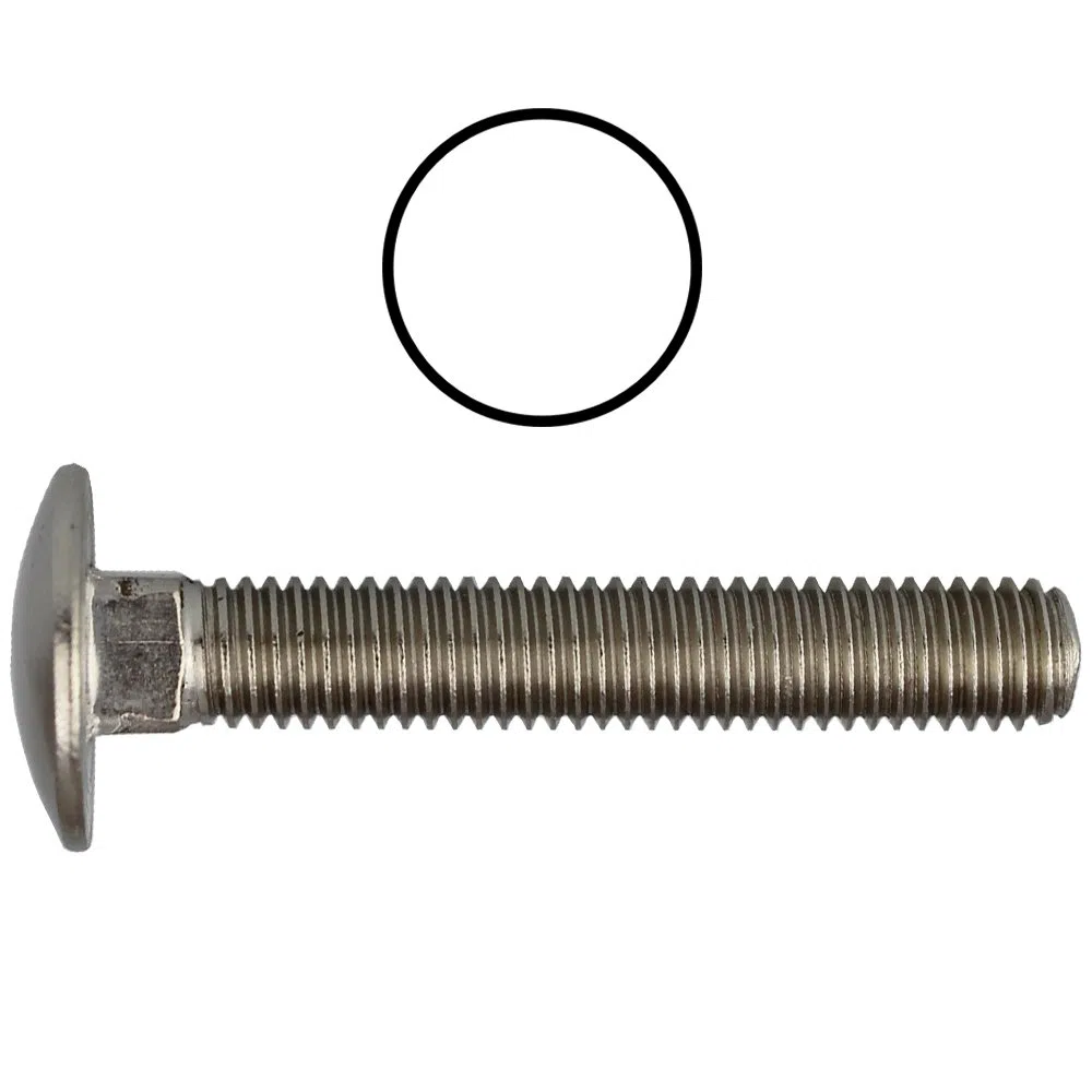 Schlossschrauben M10 X 60 DIN 603 Edelstahl A2 (10 Stück) - V2A Flachrundschrauben mit Vierkantansatz u. Vollgewinde