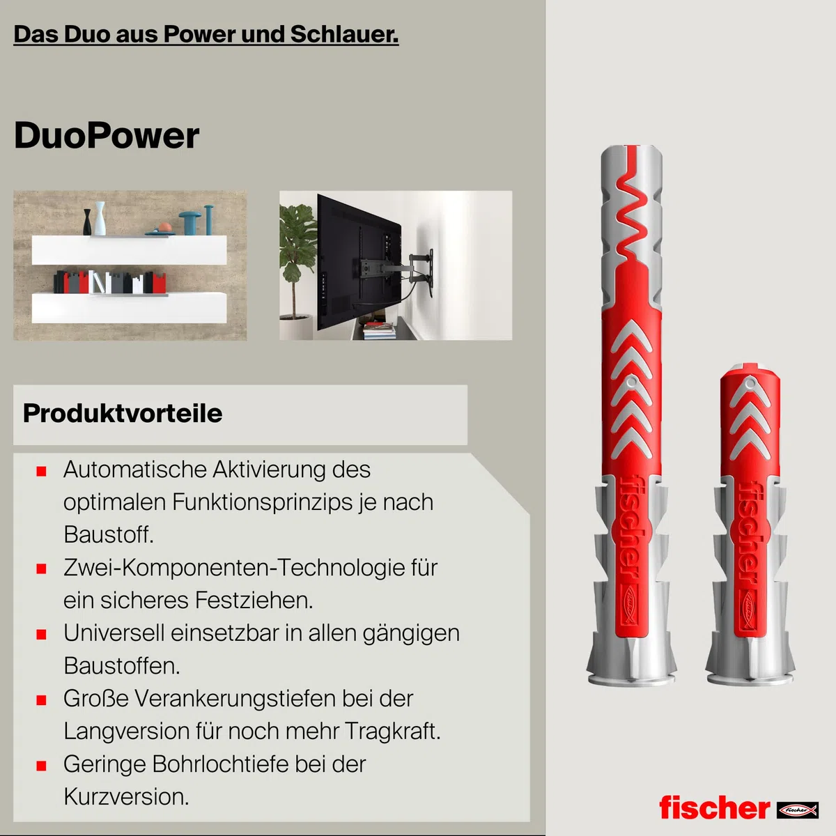 fischer DuoPower 6 x 30 S PH, Universaldübel mit Panheadschraube, 2-Komponenten-Dübel, Kunststoffdübel zur Befestigung in Beton, Ziegeln, Stein, Gipskarton uvm., 50 Dübel + 50 Schrauben