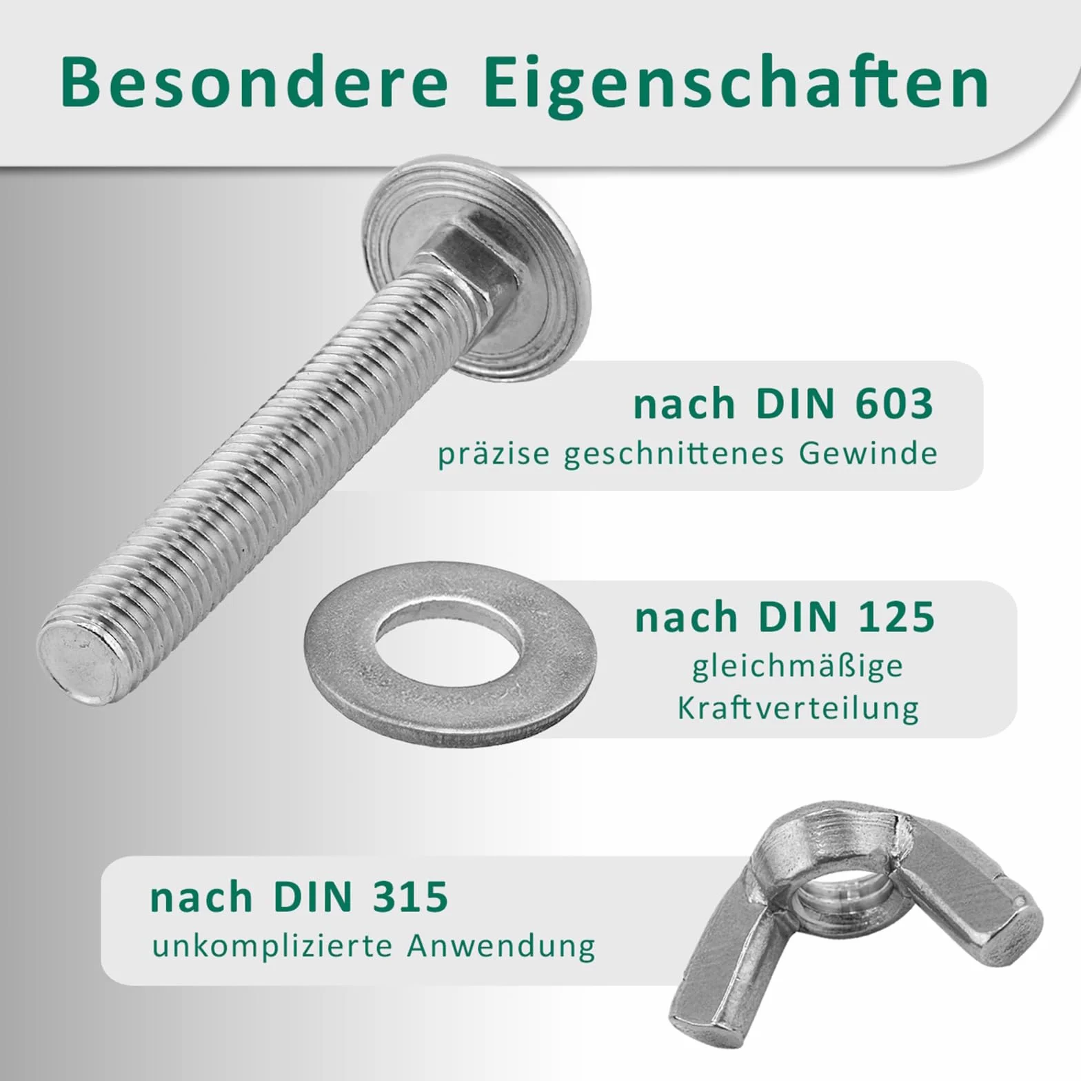 DSM – Schlossschrauben M6 x 80 mm nach DIN 603 – M6 Flügelmutter DIN 315 & Unterlegscheibe DIN 125 – Edelstahl A2/V2A – Flachrundkopfschrauben mit Vierkantansatz – Schmetterlingsmutter – 10 Stück