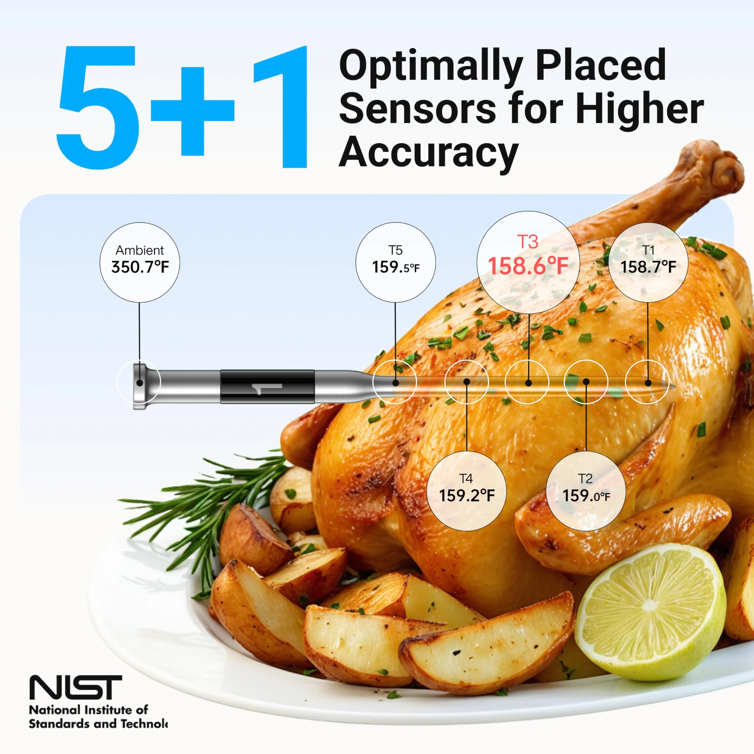 Smart Bluetooth Wireless Meat Thermometer with WiFi App | Standalone Base, Ultra-Thin Probe, NIST ±0.5°F Accuracy, Real-Time Alerts, BBQ Grill Oven Kitchen, Steak Chicken Turkey Pork