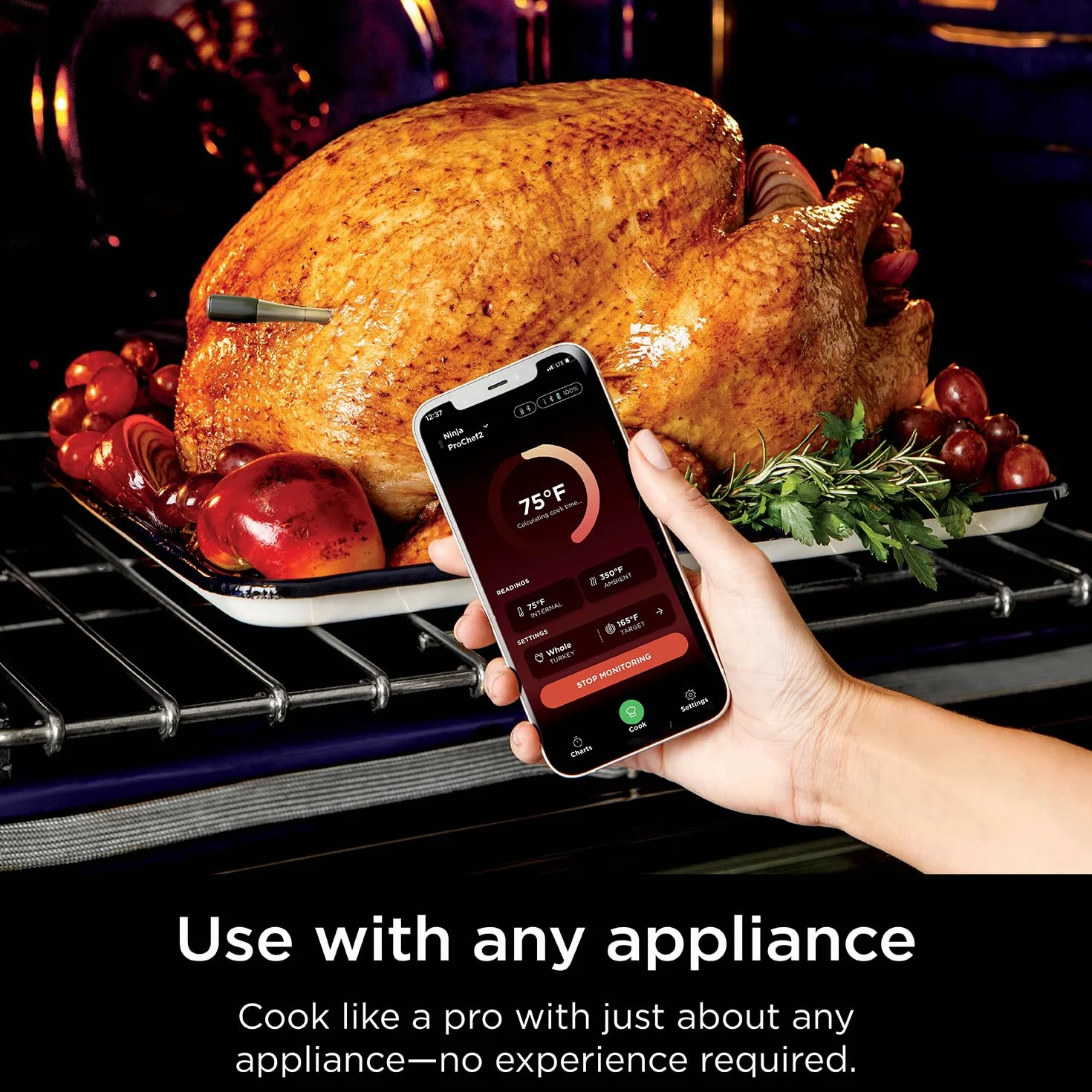 ProChef Wireless Thermometer WP100ME | ProChef Wireless Thermometer withstands 700°F and pairs with the ProConnect App for guided, no-guesswork cooking