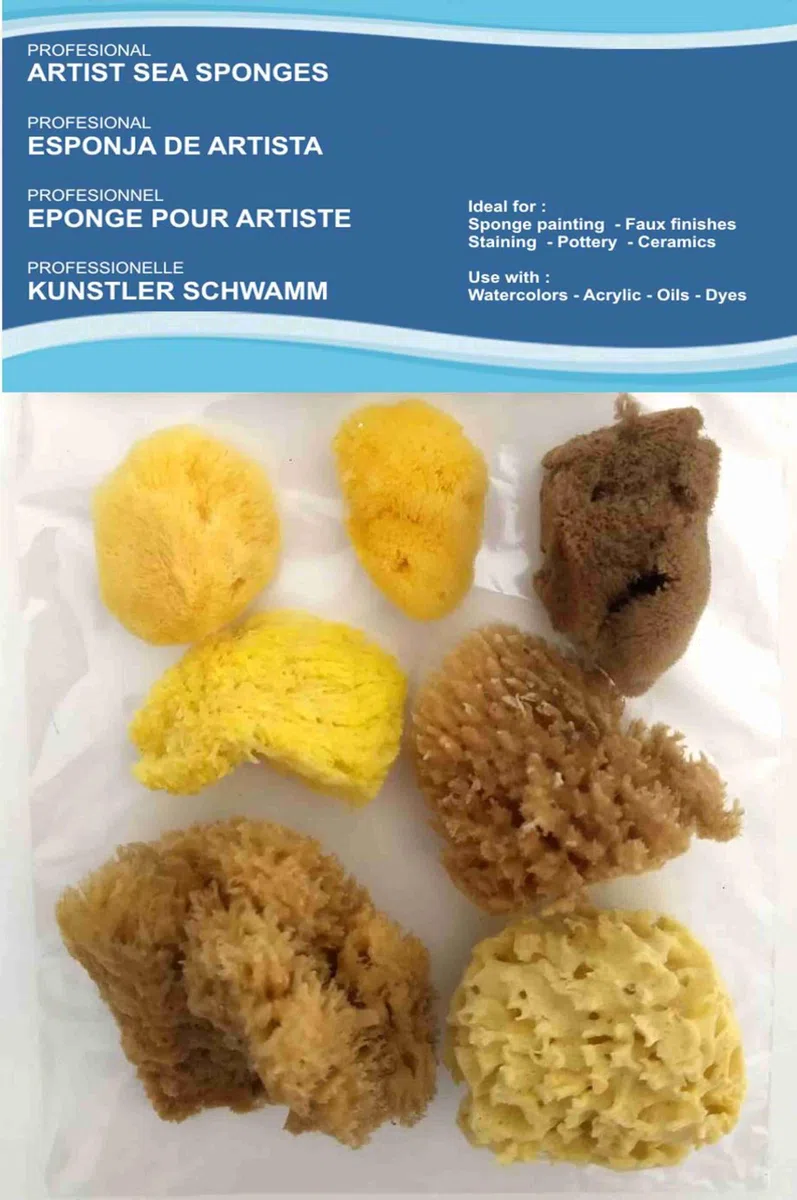 Natürliche Meeresschwämme für Künstler, 8 Stück,Malen, Hobbys, Effekte, Keramik, Töpfern, Dekorieren, Schwammtechnik, Bildende Kunst – Feine bis grobe Textur, Größen 3 –7,6 cm.