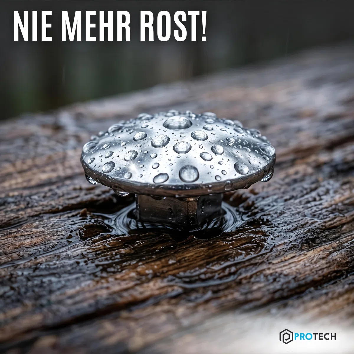 PROTECH 15 Stück Schlossschrauben M8x30 DIN 603 | Rostfreier Edelstahl A2 V2A | Flachrundschrauben mit Vierkantansatz & Vollgewinde für Holz Zaun Tor